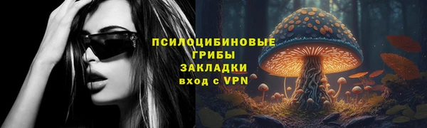 бошки Арсеньев