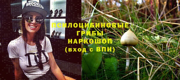мескалин Алексин