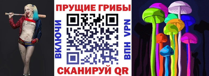 Галлюциногенные грибы Magic Shrooms  купить закладку  Бахчисарай 